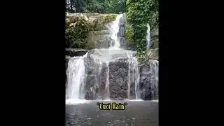 pesona wisata nanga mahap