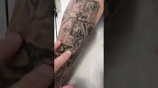 Tattoo Cicatrizada #tattooalagoas #tattoo #tattoomaceio #tatuagem #tattooartist #tattooideas