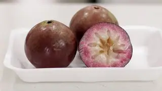 How to Eat a Star Apple | What Does Star Apple Taste Like?