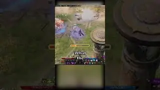 Funniest Bug I've Had In Lost Ark