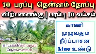 🛑 தென்னை தோப்புடன்  | காணி விற்பனைக்கு  land for sale Jaffna #trending #viral #tamilvlog #srilanka