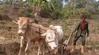 लु हाम्रो तिर त जमाना यस्तै छ है??😆