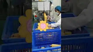 Shampoo Factory Series1: Process of Making Shampoo in Guangzhou of China || Sun Sara Shampoo Factory