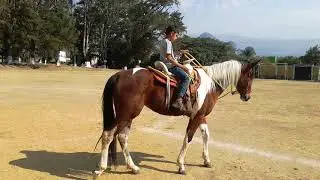 Rodri Liber y yo con Iamca la Yeg&uuml;a. Abril, 2019(5)