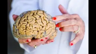 My Love Affair with the Brain: The Life and Science of Dr Marian Diamond, followed by a Q&A