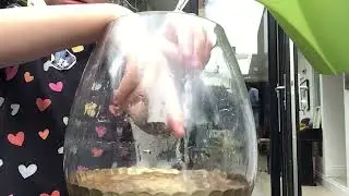 Autism water play sensory calming