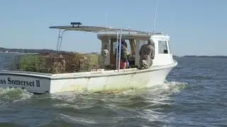 Crab Pot Retrieval by Outer Banks Voice