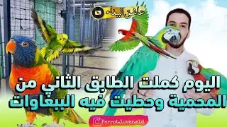 اخيرا💪ساليت🤩 الطاج الثاني فالمحمية 2 وطلقت الببغاوات🦜🦜🦜