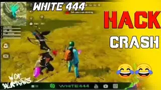 White 444 Hack Crash. 😂😂 Live Video. White444 Hacker Proof.