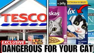 12 UK Wet Cat Food Brands To AVOID At All Costs in 2026! ( And Few That Are Safe)