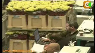 Horticulture Exports