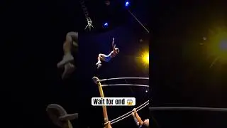 Acrobats Teamwork At Their Best! 🤯 #circus #acrobat #viral