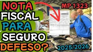 MP 1323 SEGURO DEFESO 20252026 APRESENTAR NOTA FISCAL?