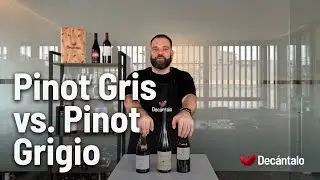 Pinot Gris vs. Pinot Grigio | #Decántalo