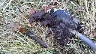 Metal Detecting the Crombies Railway Station - The Museum of Dufferin Series, Episode 1