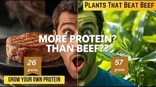 Grow Your Own Protein: 10 Plants That Beat Beef