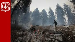 Forest Service&rsquo;s National Prescribed Fire Resource Mobilization Strategy