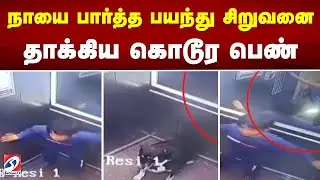 நாயை பார்த்த பயந்த சிறுவனை தாக்கிய கொடூர பெண்