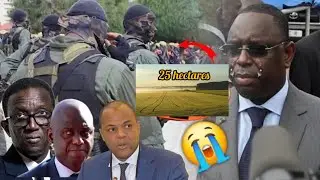 Urgent : scandale 16,4 milliards, Macky Sall , Mame mbaye Niang, amadou ba et mansour faye....