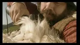 Animest Sheep I (2008)