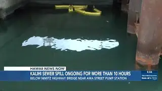 Crews respond to sewer spill below Nimitz Highway