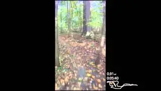 Fat biking in Ottawa Park, Toledo, OH