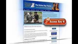dog anxiety cure - how to cure dog anxiety - cure dog separation anxiety