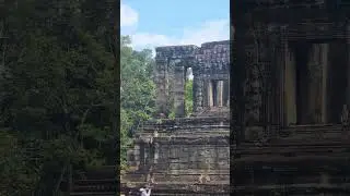 The monkeys at Bayon temple!#monkeys#