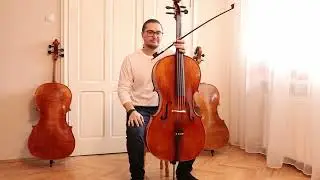 Professional Level Stradivari Cello 4/4 Flamed Ash by Vivarius Workshop # 77