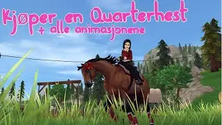 Kj&oslash;per En QuarterHesten / Star Stable Norsk