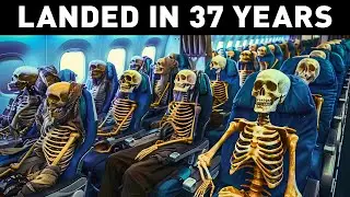 The SHOCKING Story of Flight 914 - Vanished for 37 Years!
