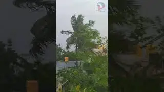 Today #newstamilonline#tamilnewsheadlines#rainalert#fengalcyclonealert#newstamilbreaking#chennairain