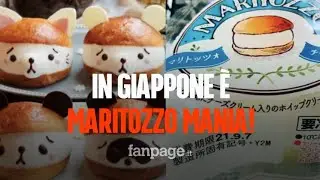 In Giappone &egrave; maritozzo mania: tutti pazzi per il dolce romano ripieno di panna