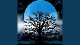 Moonlight Shimmer