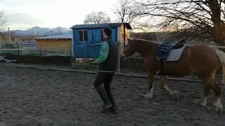 Freiarbeit ist Teamarbeit