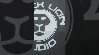 unboxing my newest family member. Black Lion B12a MK3