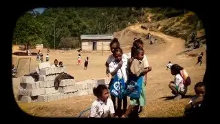 Wild Timor Coffee - Timor Leste