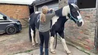 Norman before using Ron Fields Nutrition PreUlc powder (video 1 of 3)