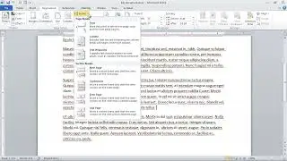 Word Tutorial: How to Insert or Remove Page Break