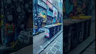 STREET ART IN MELBOURNE 🇦🇺🇦🇺🇦🇺🎨🎨🎨 #australia #melbourne #streetart