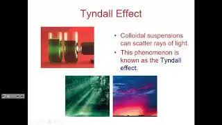 AP Chapter 13.4 and 13.6