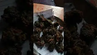 indian  pakora