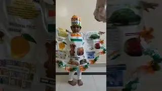 National Symbols Costume