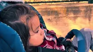 My Son Enjoying at the Zoo 🐘🦒 | Happy Family Day ❤️