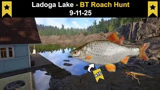 Russian Fishing 4, Ladoga Lake - BT Roach Hunt  9-11-25