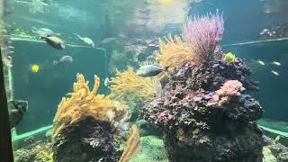 Omaha Zoo and Aquarium!!