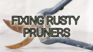FIXING RUSTY GARDEN SCISSORS