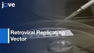 Retroviral Replicating Vector Transduced T Lymphocytes | Protocol Preview