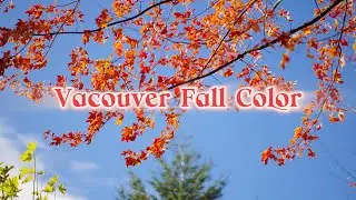 Vancouver Fall color