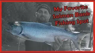 MY Favorite SACRAMENTO RIVER SALMON BANK FISHING Spot Revealed